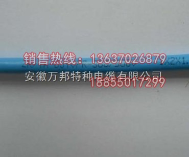 IA-DJFPF46P電纜-IA-DJFPF46P耐高溫本安電纜