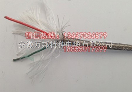 仿進口屏蔽補償導線 