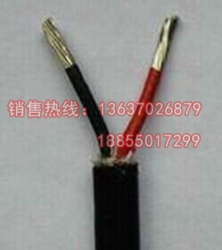 ZRC-KX-YP2VP2熱電偶補償導線