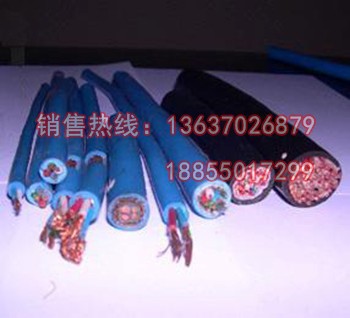 ZR-ia-KX本安防爆補(bǔ)償導(dǎo)線(xiàn)