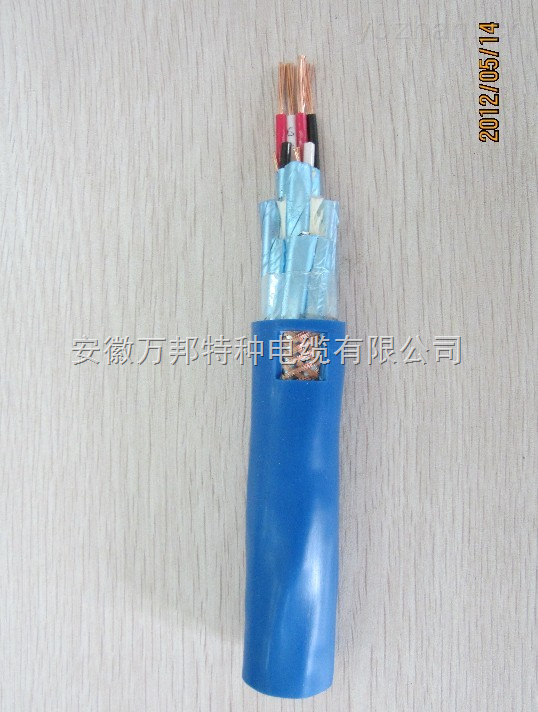 IA-DJF46PVP本安防爆計算機電纜 